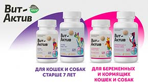 Вит-Актив для беременных и кормящих, а также стареющих животных
