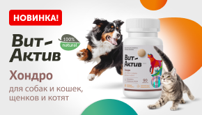 Вит-Актив Хондро для собак и кошек